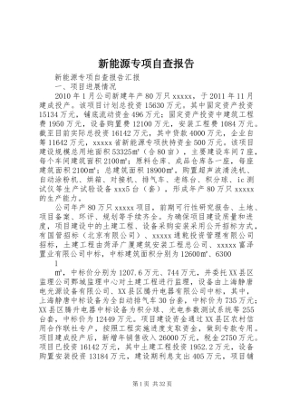 新能源专项自查报告