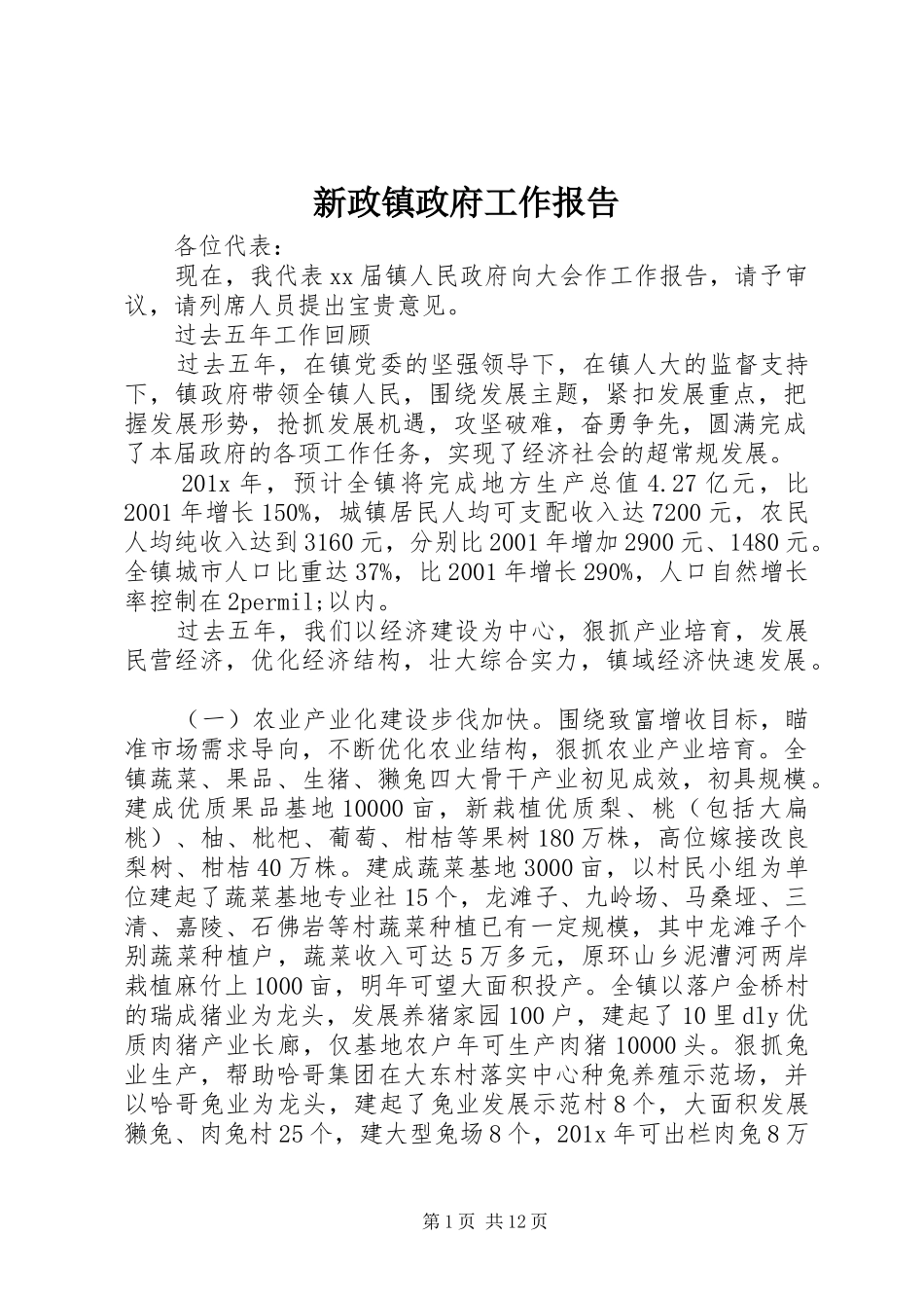 新政镇政府工作报告_第1页