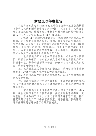 新建支行年度报告