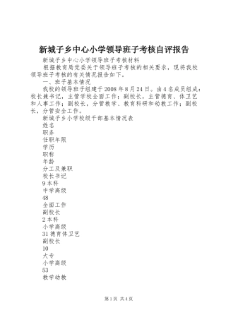 新城子乡中心小学领导班子考核自评报告