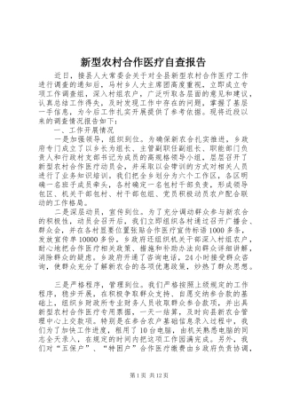 新型农村合作医疗自查报告