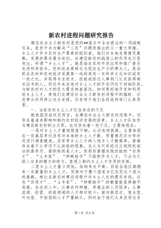 新农村进程问题研究报告