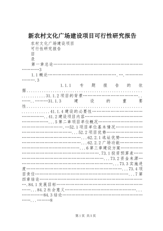 新农村文化广场建设项目可行性研究报告