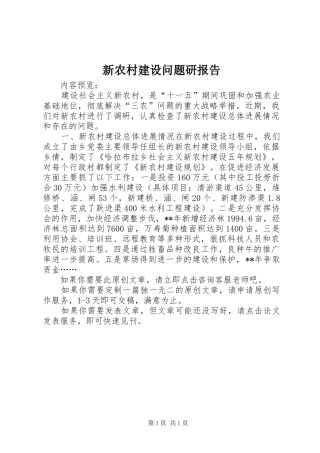 新农村建设问题研报告