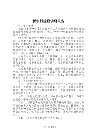 新农村建设调研报告 (16)