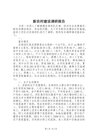 新农村建设调研报告 (13)
