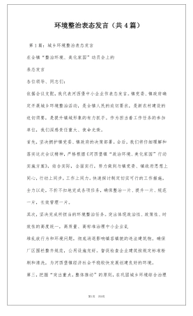 环境整治表态发言共4篇