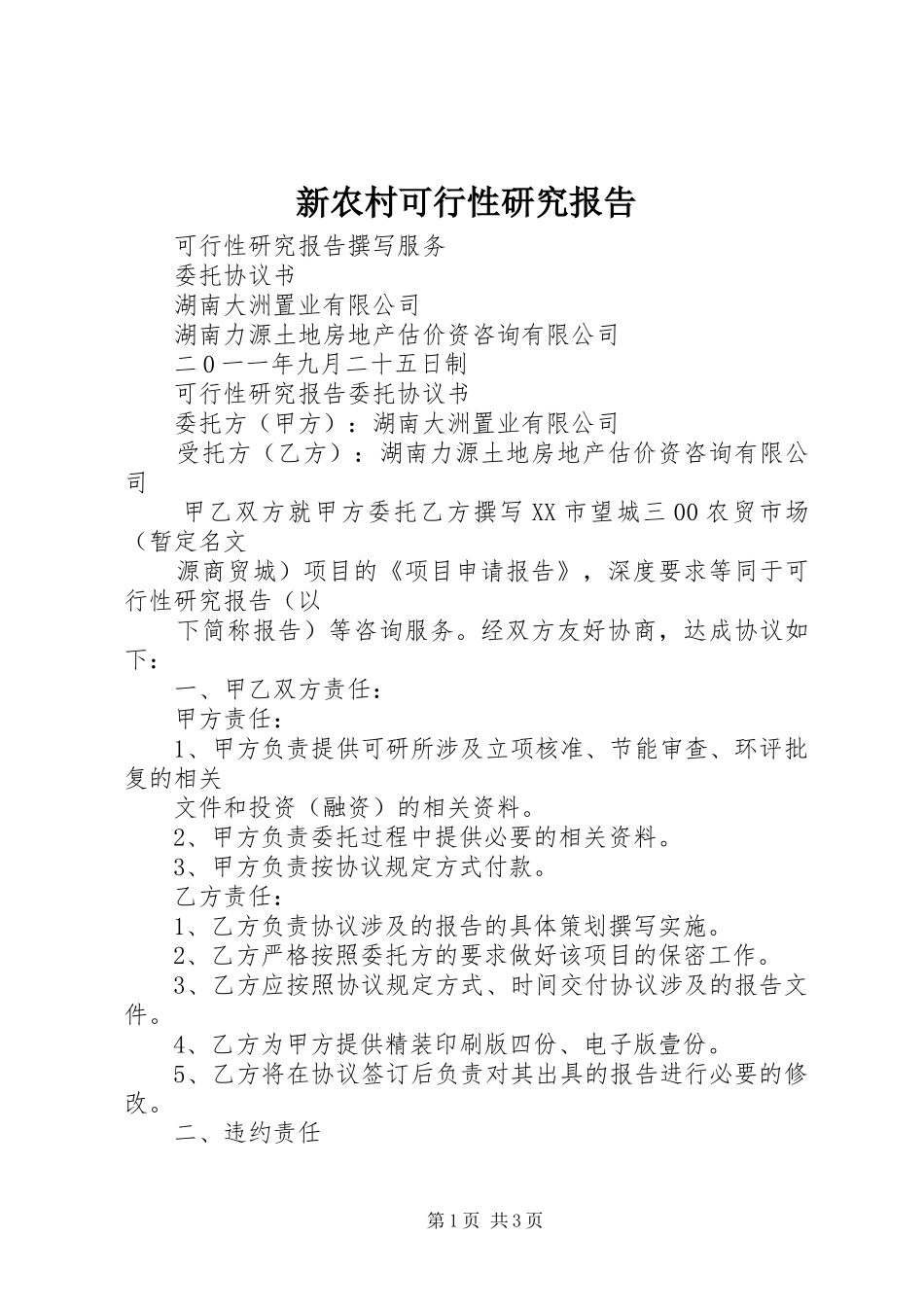 新农村可行性研究报告_第1页