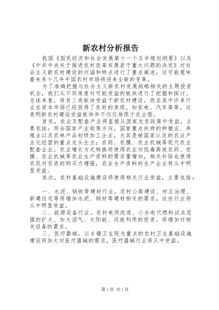 新农村分析报告