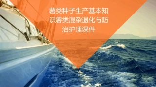 薯类种子生产基本知识薯类混杂退化与防治护理课件