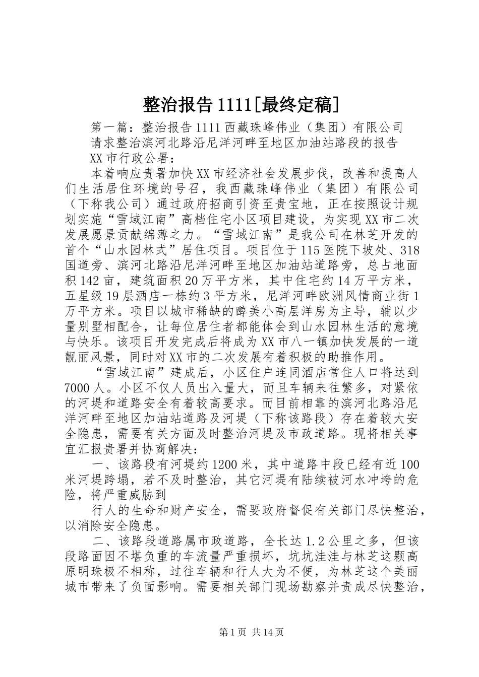 整治报告1111[最终定稿]_第1页