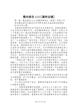 整治报告1111[最终定稿]