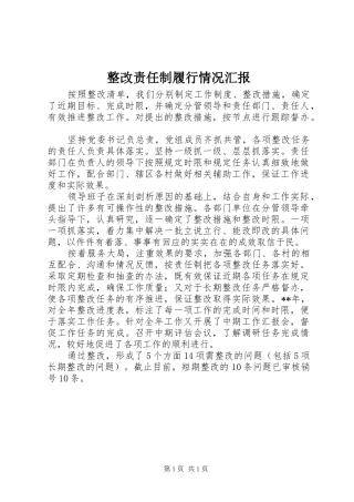 整改责任制履行情况汇报