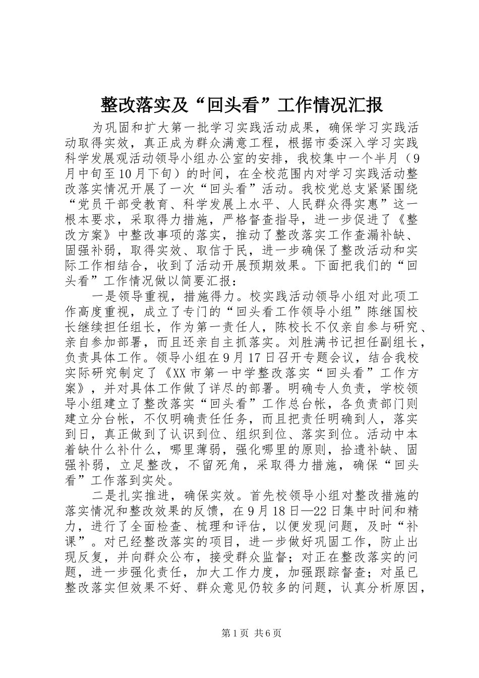 整改落实及“回头看”工作情况汇报_第1页