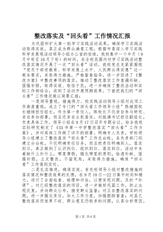 整改落实及“回头看”工作情况汇报
