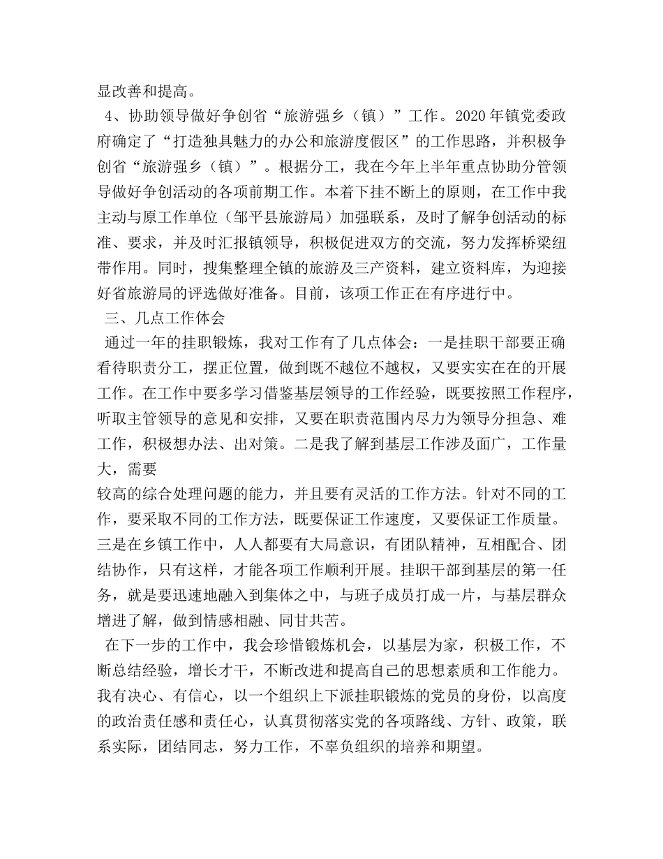 挂职锻炼副镇长工作总结 _第3页