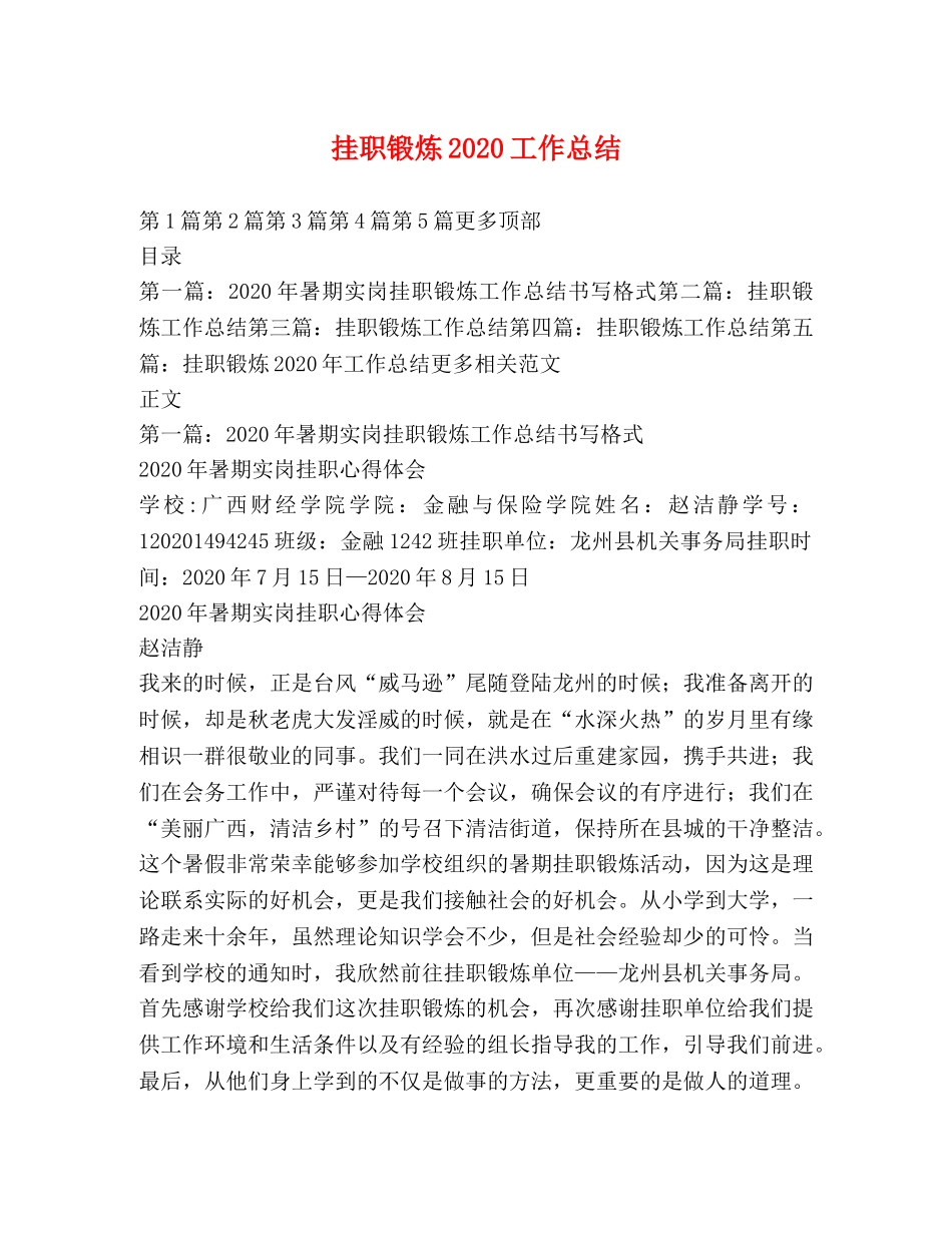 挂职锻炼2020工作总结 _第1页