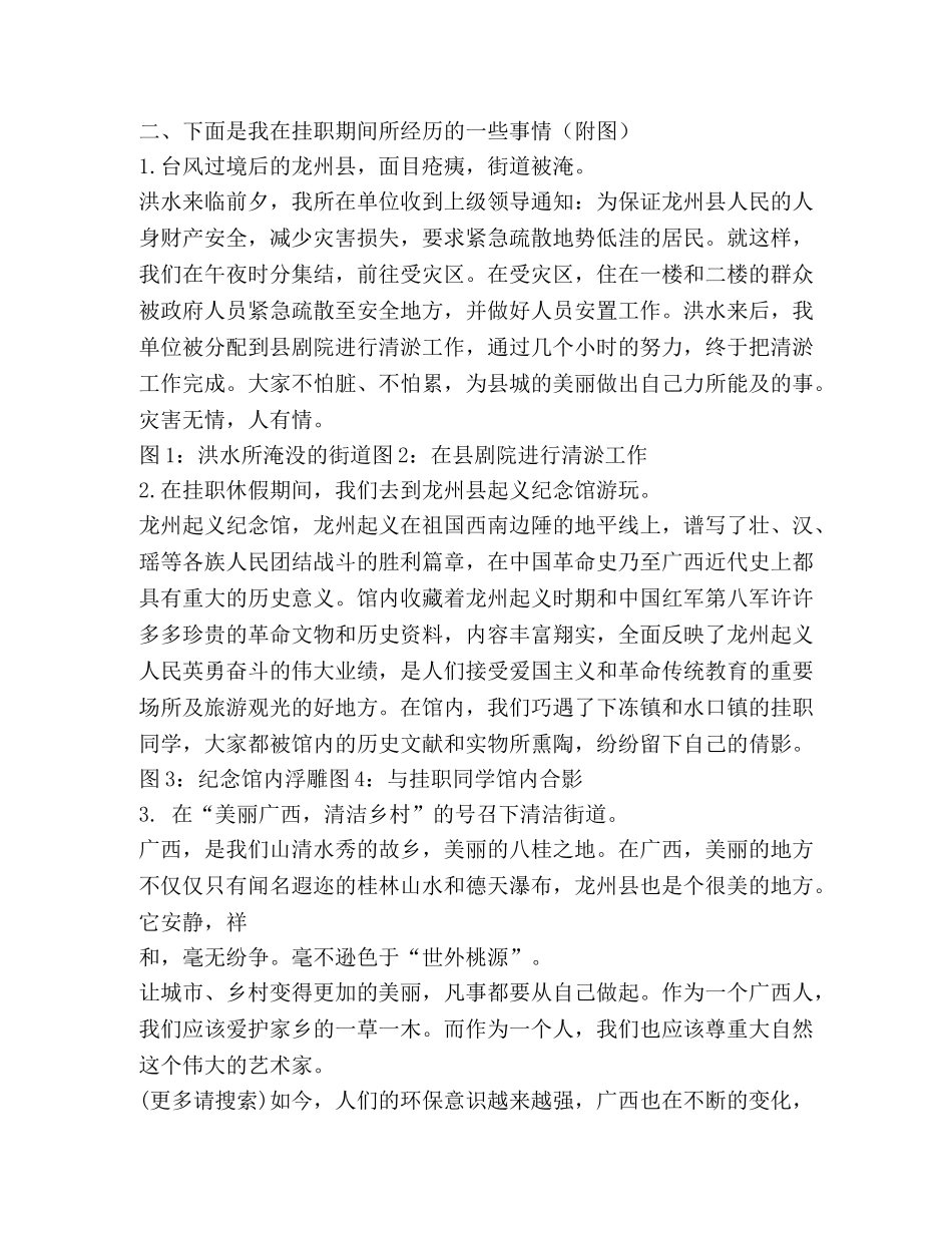 挂职锻炼2020工作总结 _第3页