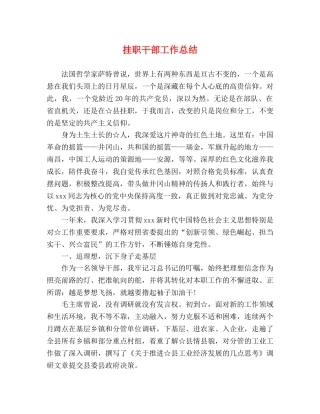 挂职干部工作总结 