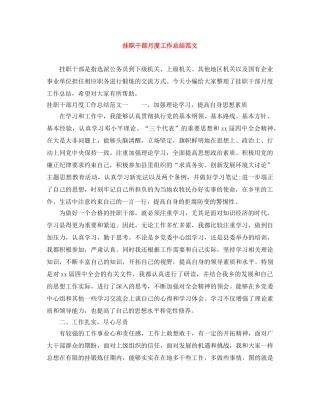 挂职干部月度工作总结范文 