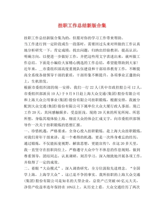 挂职工作总结新版合集 