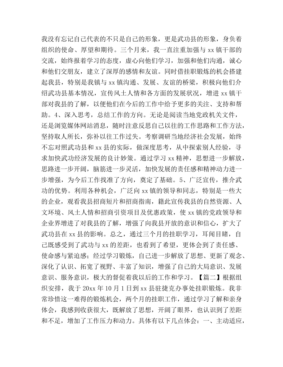 挂职工作总结合集 _第2页