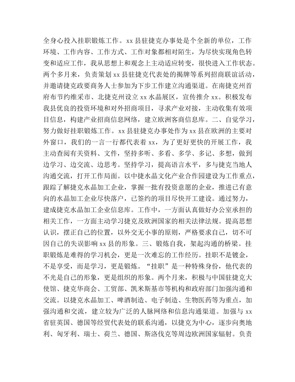 挂职工作总结合集 _第3页