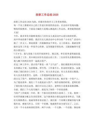 挂职工作总结2020 