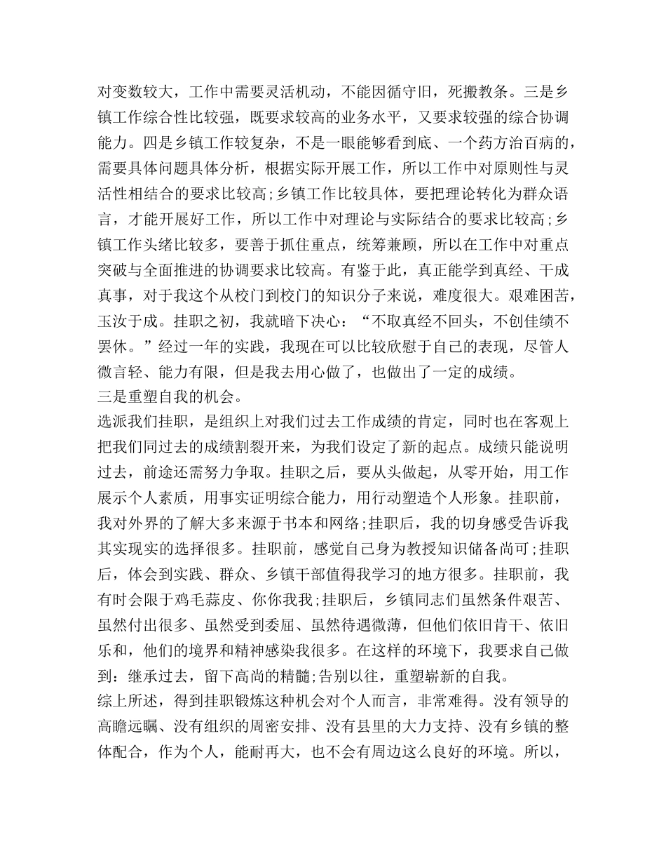 挂职工作总结 _第3页