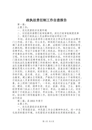 政执法责任制工作自查报告