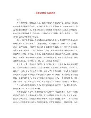 护理实习期工作总结范文 