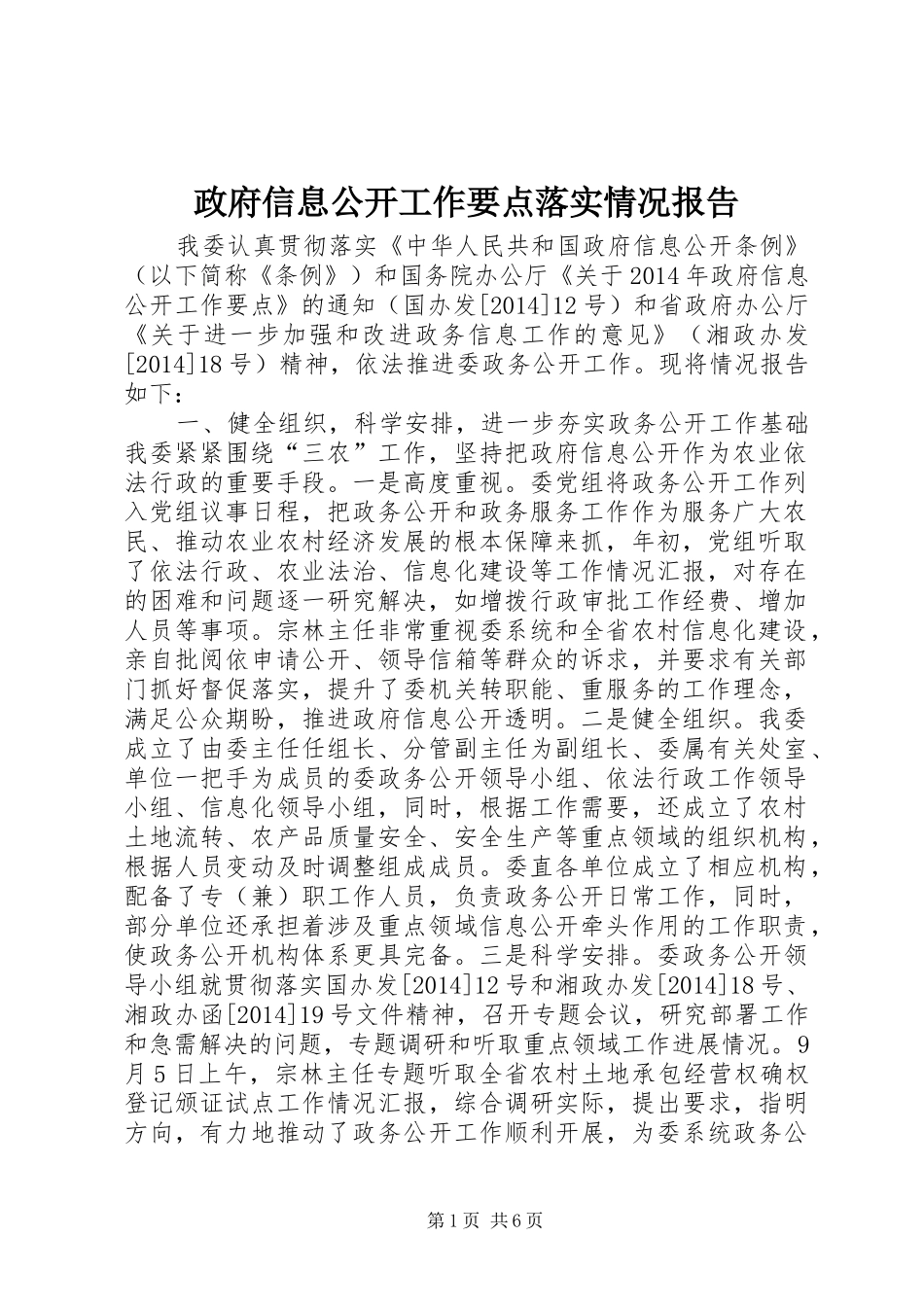 政府信息公开工作要点落实情况报告_第1页
