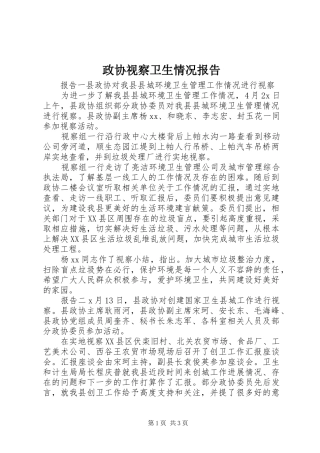 政协视察卫生情况报告
