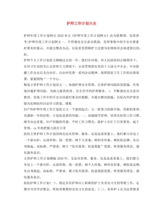 护师工作计划大全 