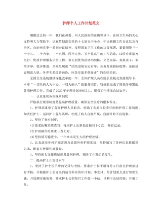 护师个人工作计划范文 