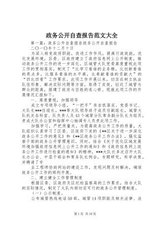 政务公开自查报告范文大全