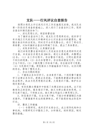 支队——行风评议自查报告