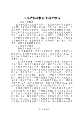 支部达标考核自查自评报告