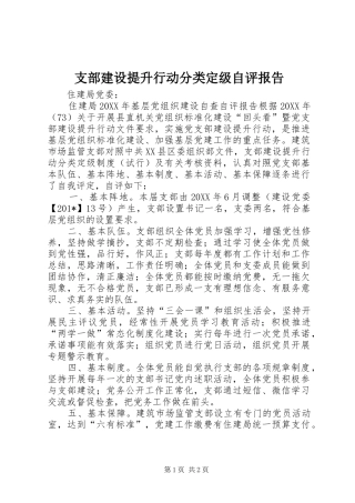 支部建设提升行动分类定级自评报告