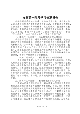 支部第一阶段学习情况报告