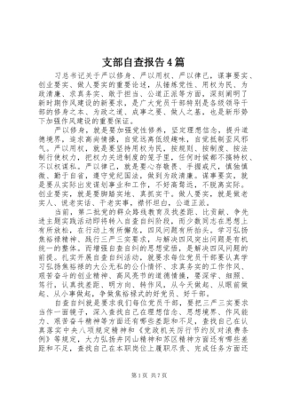 支部自查报告4篇