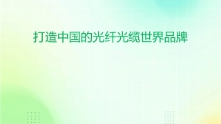 打造中国的光纤光缆世界品牌课件