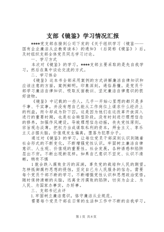 支部《镜鉴》学习情况汇报