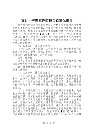 支行一季度案件防控自查情况报告