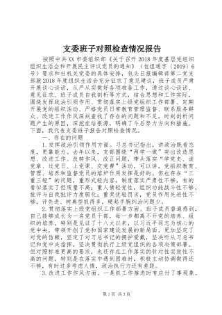 支委班子对照检查情况报告
