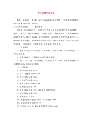 护士未来工作计划 