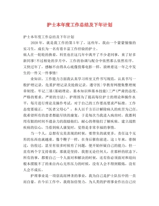 护士本年度工作总结及下年计划 