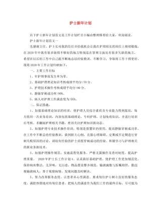 护士新年计划 