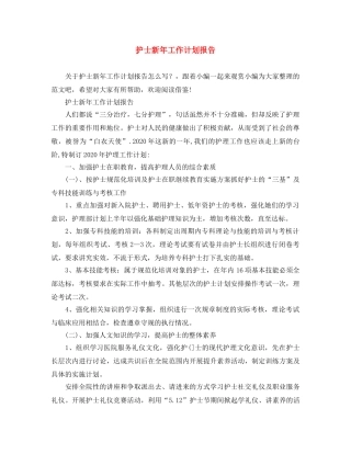 护士新年工作计划报告 