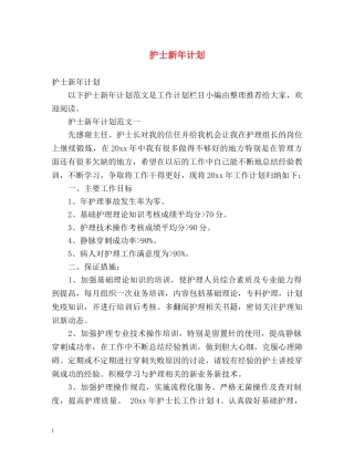 护士新年计划 (2) 